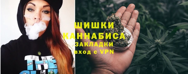ПСИЛОЦИБИНОВЫЕ ГРИБЫ Белокуриха
