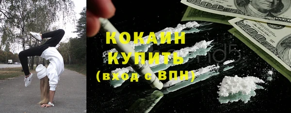ПСИЛОЦИБИНОВЫЕ ГРИБЫ Белокуриха