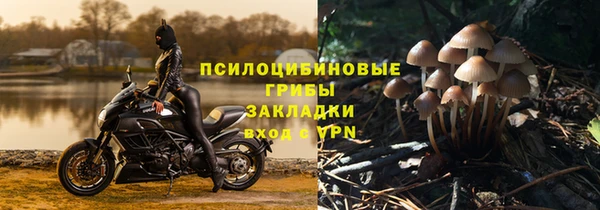 ECSTASY Богородицк