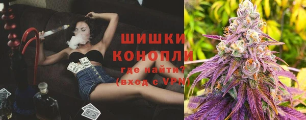 ПСИЛОЦИБИНОВЫЕ ГРИБЫ Белокуриха