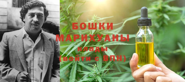 ПСИЛОЦИБИНОВЫЕ ГРИБЫ Белокуриха